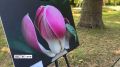 В Сириусе прошел День магнолий