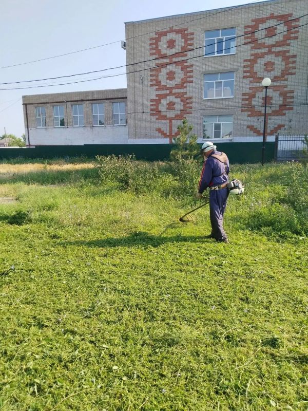 Работы по покосу травы на городских территориях проводятся ежедневно Работы по покосу травы на городских территориях проводятся ежедневно