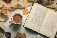Секреты метода 90/90: как просто и эффективно расхламить ваше пространство