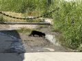 Продолжаем нашу ежедневную рубрику «Краснокадр»