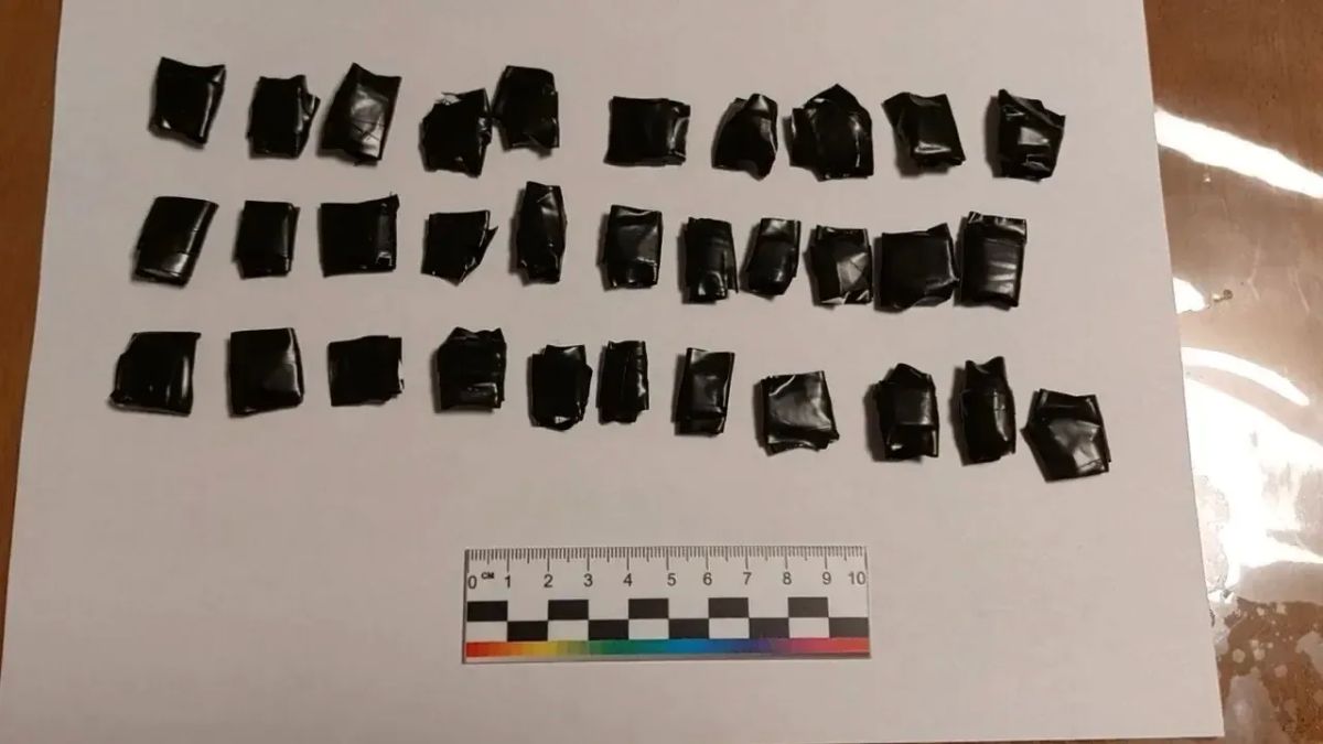 Наркодилер из КБР оказался на скамье подсудимых Наркодилер из КБР оказался на скамье подсудимых