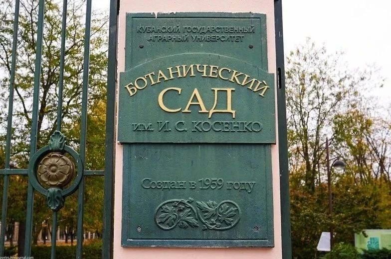 Ботанический сад Краснодара закроют для посетителей 10 июля