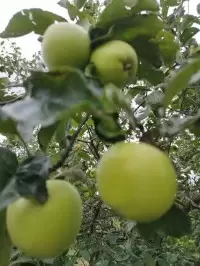 О погоде на 9 июля. В Краснодарском крае солнечно