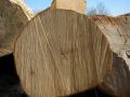 В Ростовской области вынесен приговор за контрабанду лесоматериалов