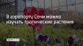 � ������������� ��������� ���� ����������� ������ ����� �������������� �������� � ��������� ������������ ��������