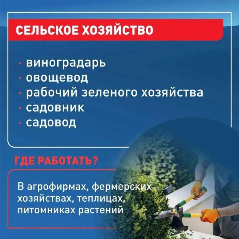 Кубанские девятиклассники без аттестата смогут получить 26 востребованных профессий Кубанские девятиклассники без аттестата смогут получить 26 востребованных профессий