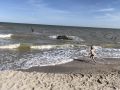 Море по колено, черешня и «советские» цены: почему этим летом россияне выбирают Азовское побережье вместо Черноморского