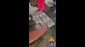 � ���������� ������������ ����������� ��������� � ������� ���� ��������� ������ ����������� ����������� ���� ���������������� ����������� �� ���������� � ���������� ����������