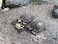 Рабочая неделя начинается с жары