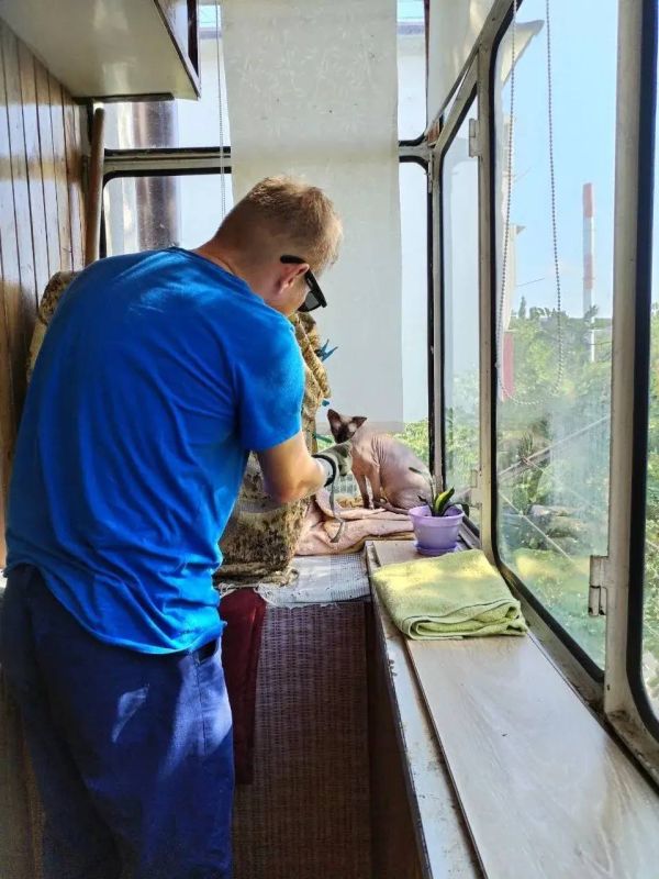 Странное поведение: спасатели в Новороссийске усмирили агрессивную кошку Странное поведение: спасатели в Новороссийске усмирили агрессивную кошку