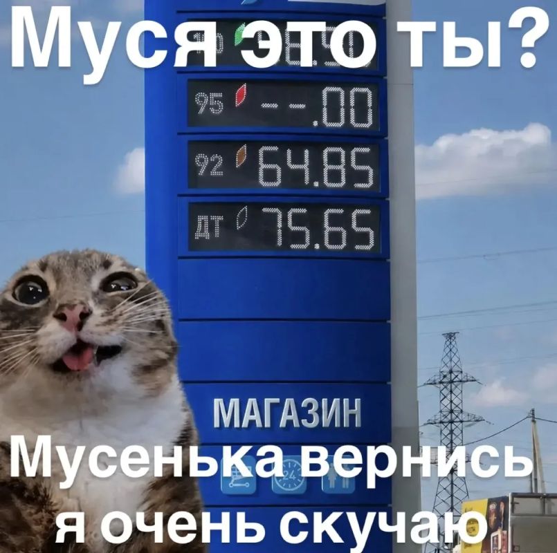 Утром 14 июля в Краснодаре продолжают работу 70 автозаправочных станций