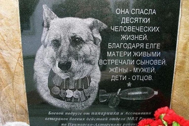 «Она спасла десятки человеческих жизней, благодаря Елге матери живыми встречали сыновей, жены - мужей, дети - отцов» «Она спасла десятки человеческих жизней, благодаря Елге матери живыми встречали сыновей, жены - мужей, дети - отцов»