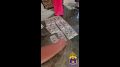 � ���������� ������������ ����������� ��������� � ������� ���� ��������� ������ ����������� ����������� ���� ���������������� ����������� �� ���������� � ���������� ����������