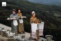 #архив_ТАСС_Юг. Дагомысский чайный совхоз в Краснодарском крае