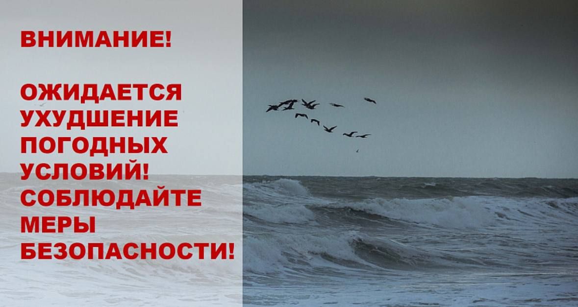 Летняя занятость подростков в Новороссийске: 1216 ребят уже попробовали себя в деле Летняя занятость подростков в Новороссийске: 1216 ребят уже попробовали себя в деле