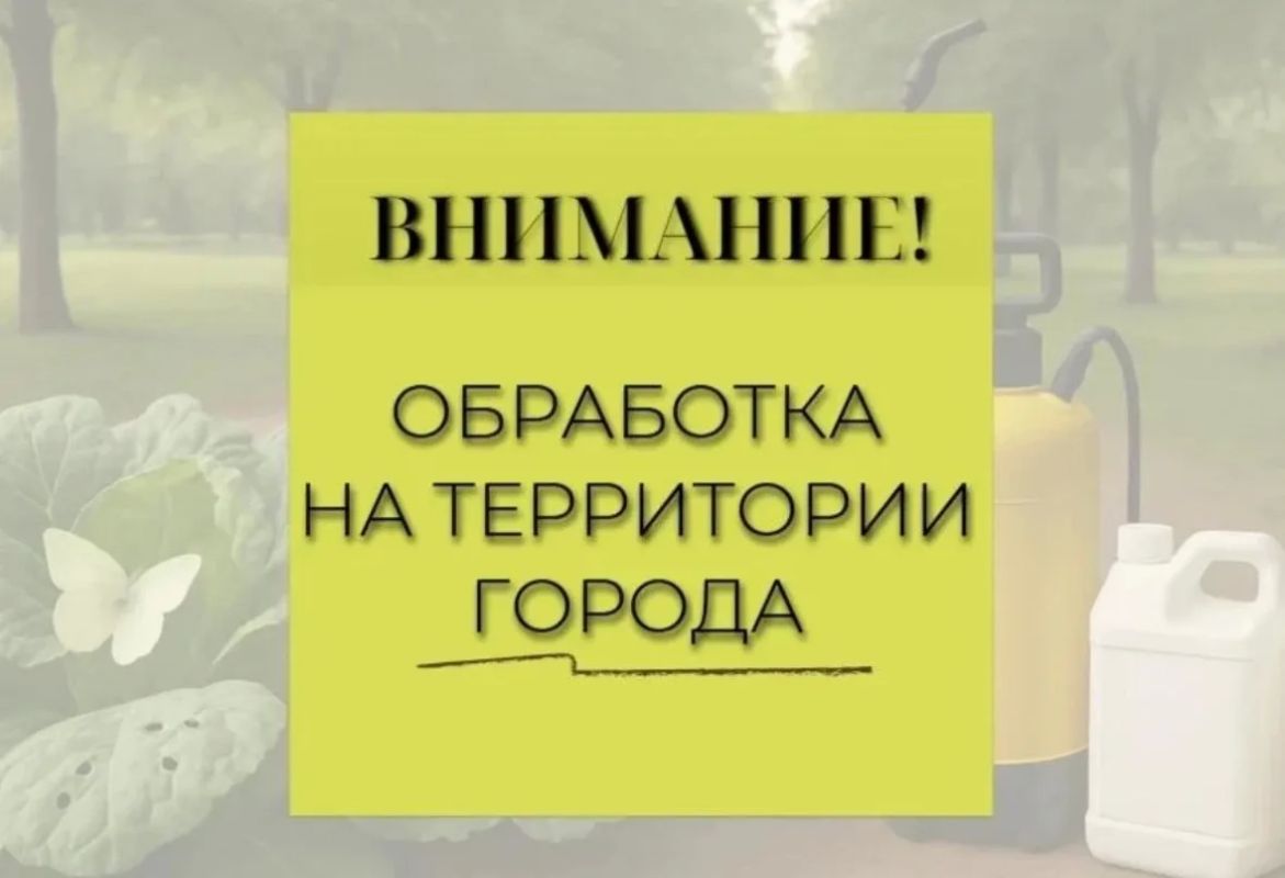 Внимание! В Новороссийске будут проводиться работы по уничтожению американской белой бабочки, тли, ясеневого пилильщика