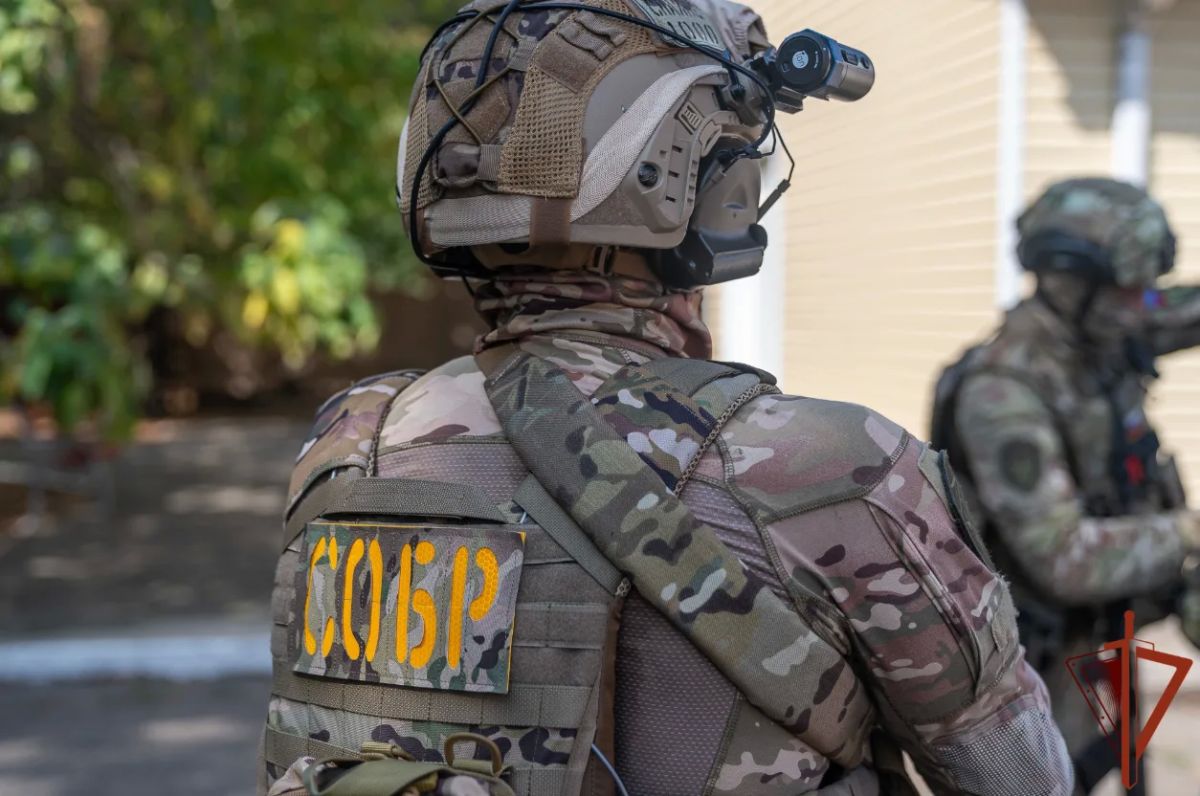 Группа воров-альпинистов задержана при силовой поддержке Росгвардии в Краснодаре