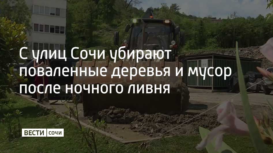 В Сочи после ночного залпового ливня коммунальщики убирают поваленные деревья, ветки и мусор