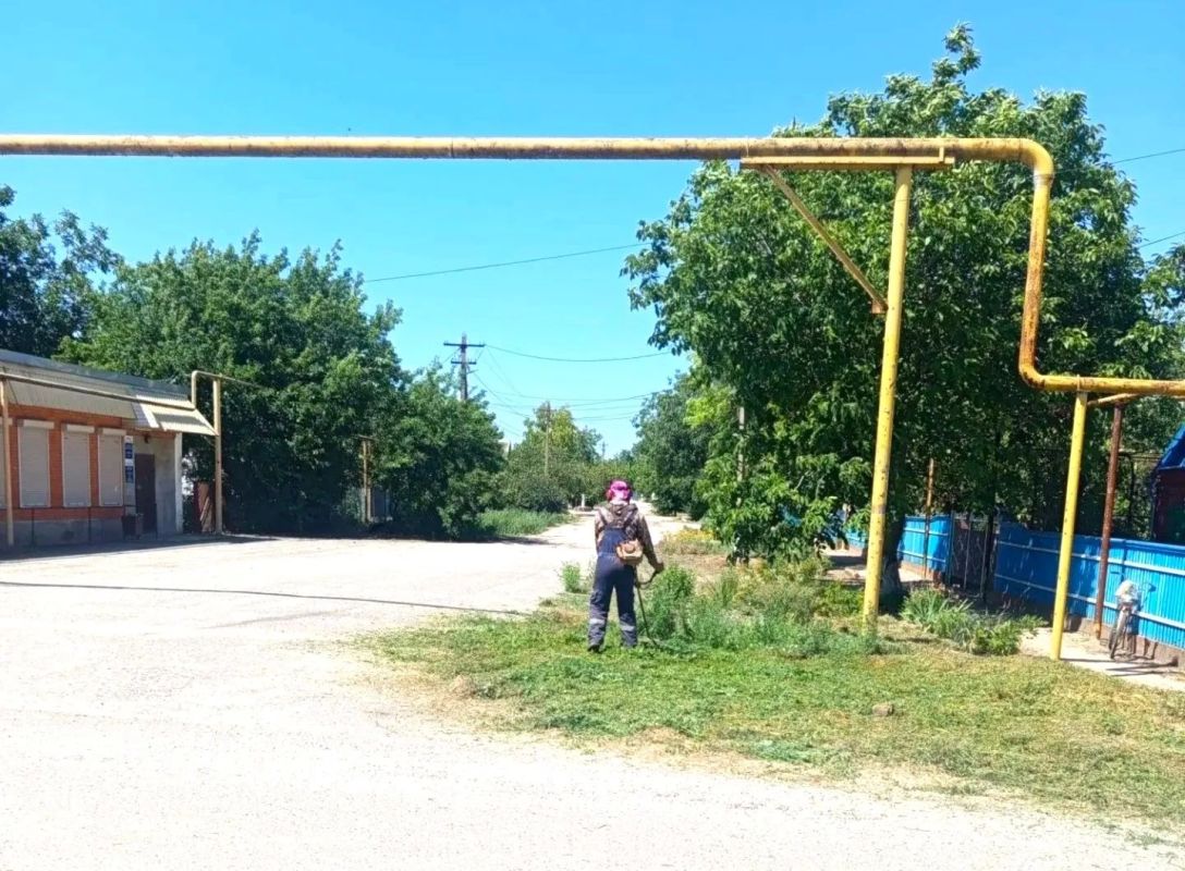 В Камышеватском сельском поселении идёт покос сорной растительности В Камышеватском сельском поселении идёт покос сорной растительности