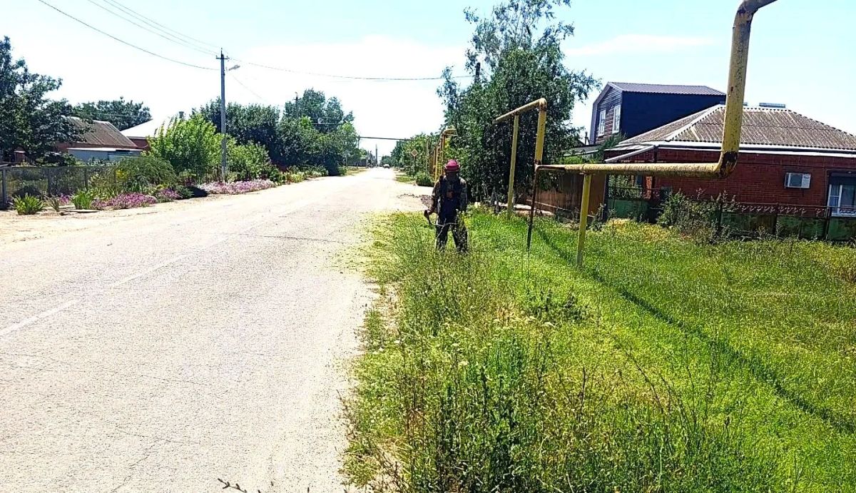 В Камышеватском сельском поселении идёт покос сорной растительности В Камышеватском сельском поселении идёт покос сорной растительности