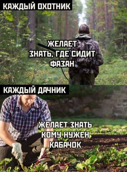 Разрешить дачникам продавать свою продукцию в людных местах на улицах предложил депутат Госдумы Сергей Миронов