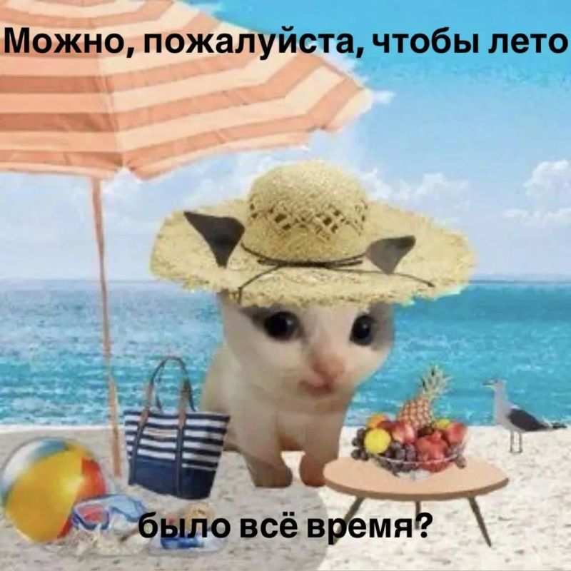 На календаре 16 июля…. А это значит, что половина лета уже позади