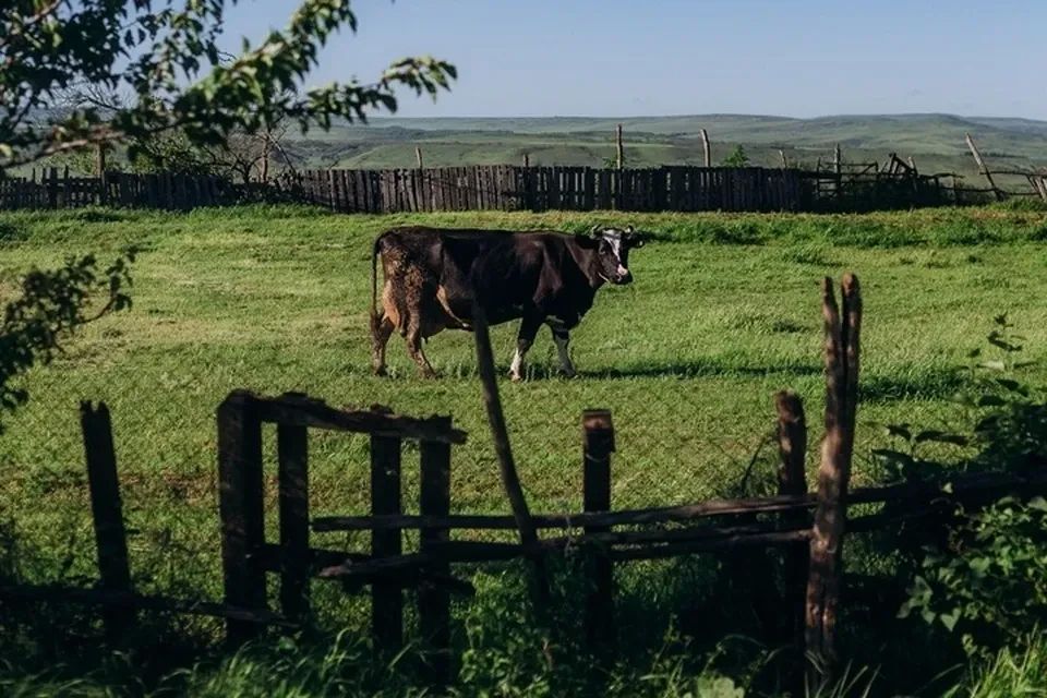 Калитки - как местный колорит: Фотограф показал жизнь без прикрас вдоль реки Кубань
