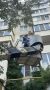 Сегодня у спасателей из Новороссийска «день животных»