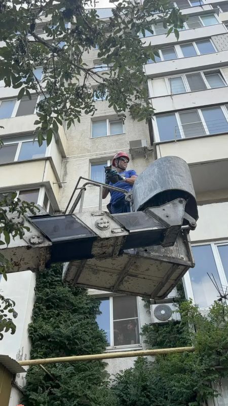 Сегодня у спасателей из Новороссийска «день животных»