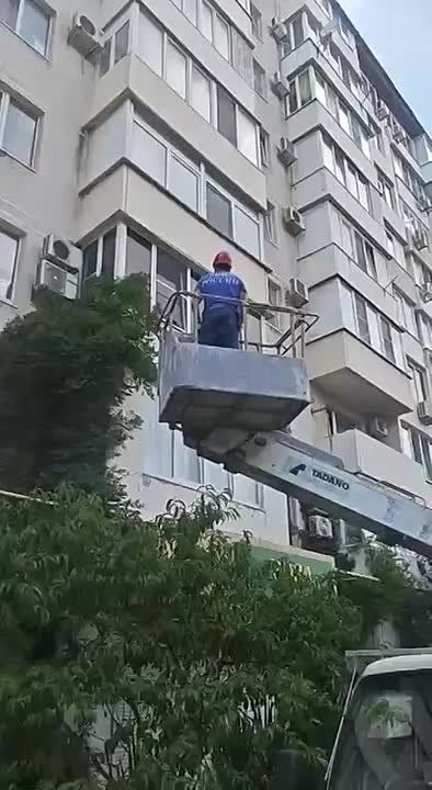 Троекратное мяу. В Новороссийске спасатели помогли котенку, который застрял на карнизе третьего этажа