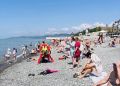 За полгода турналог в Сочи принес 284 млн рублей
