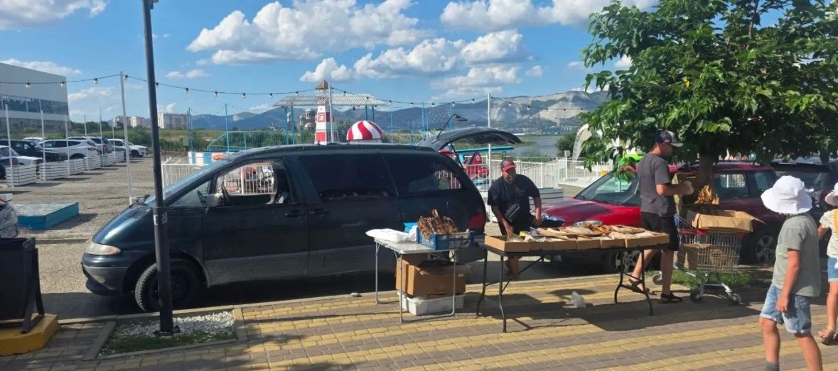 В Новороссийске с начала года составлено 84 административных протокола за осуществление несанкционированной торговли В Новороссийске с начала года составлено 84 административных протокола за осуществление несанкционированной торговли