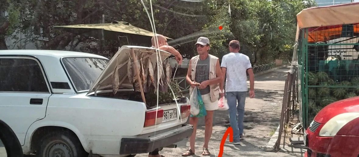 В Новороссийске с начала года составлено 84 административных протокола за осуществление несанкционированной торговли