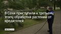Работы проводят по сезонному графику