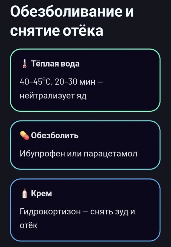 Жители моря, несущие боль. Они приходят, когда их не ждут Жители моря, несущие боль. Они приходят, когда их не ждут
