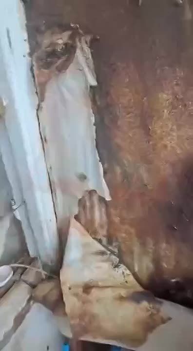 Тараканье царство и смрад до рвоты