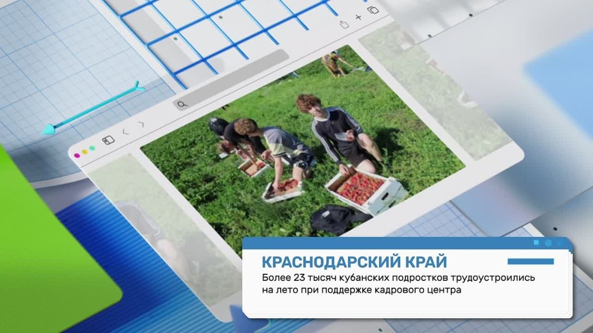 Что нового в службах занятости