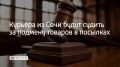 В Адлерском районе перед судом предстанет 34-летняя женщина, которая работала курьером и обманула маркетплейс на 39 тысяч рублей, сообщили в полиции Сочи