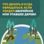 В городе усиливается ветер