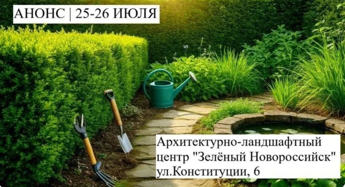 В рамках проекта «Укоренись в Новороссийске» всех желающих научат создавать живые изгороди и дождевые сады