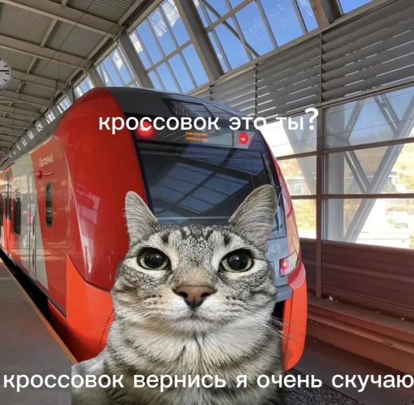 Костыль, сервиз и коврик: почти 3 тыс забытых вещей вернулись к владельцам