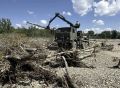 Более 85 км русел рек Краснодарского края очищены от древесных наносов