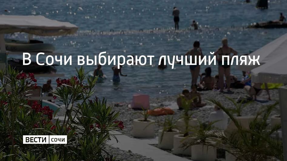 В Сочи впервые проводят открытое онлайн-голосование за лучший сертифицированный пляж курорта, рассказали в администрации города