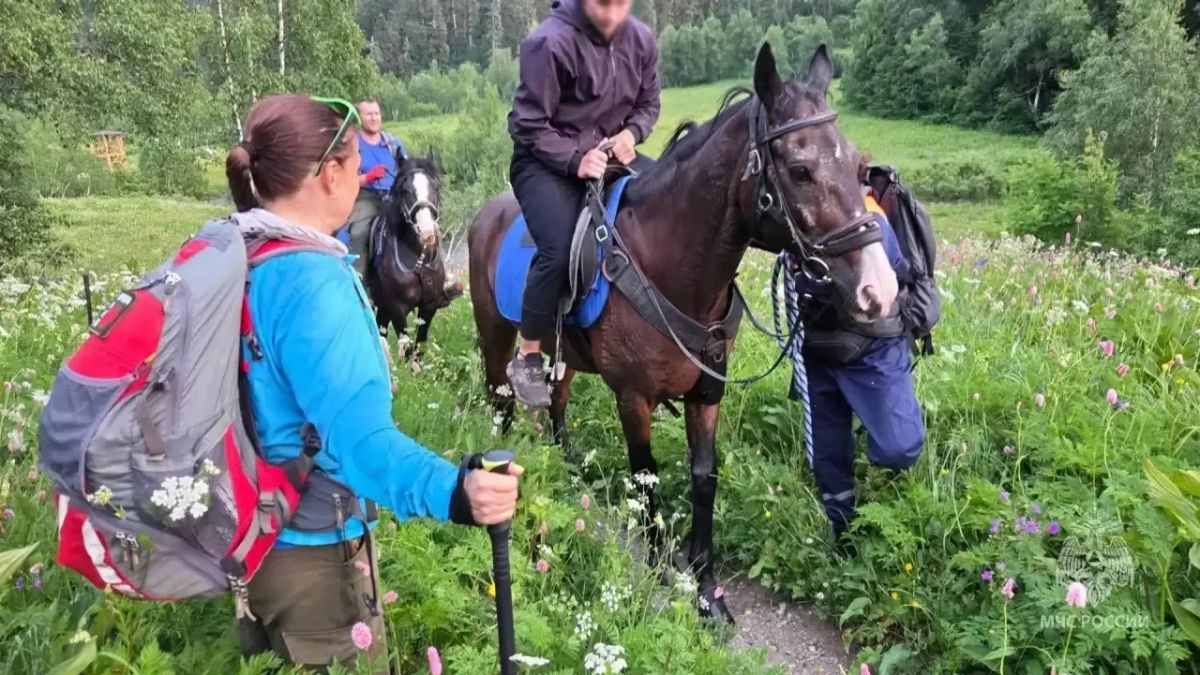 Сочинца с признаками отравления пришлось эвакуировать на коне Сочинца с признаками отравления пришлось эвакуировать на коне