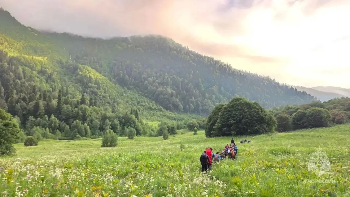 Сочинца с признаками отравления пришлось эвакуировать на коне