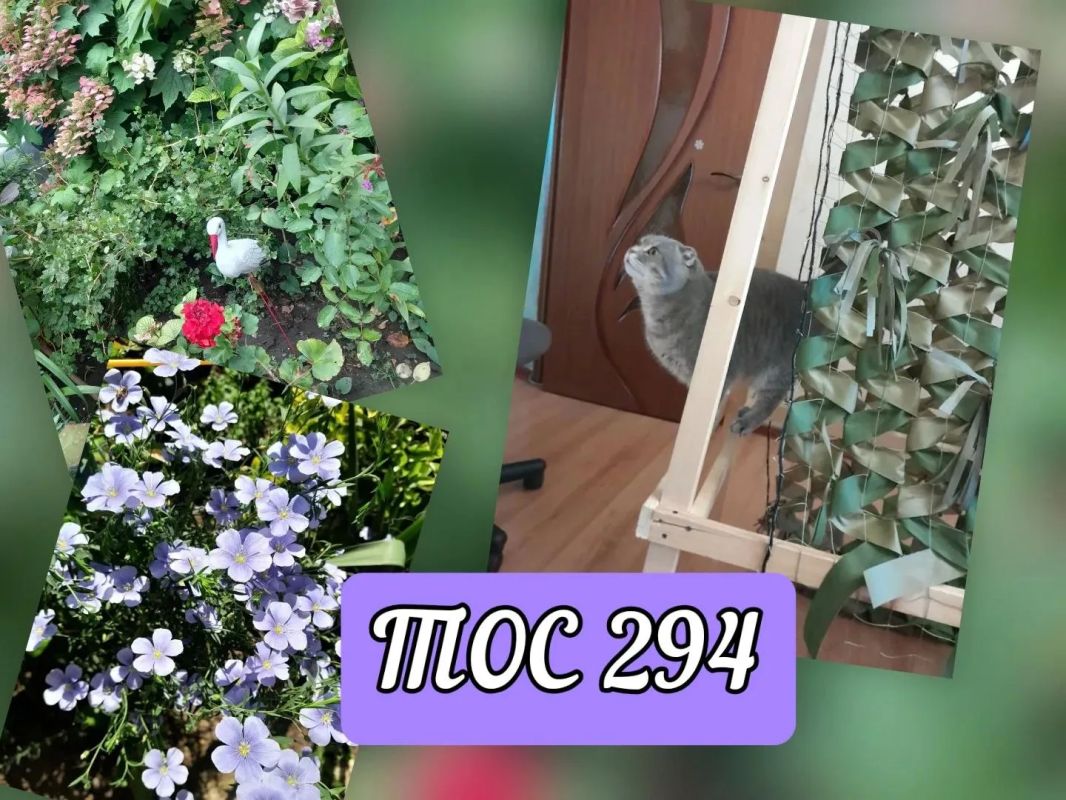 Финал среди дружных и активных! Финал среди дружных и активных!