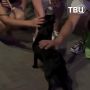 �������������� ����� ���� ������� ����������