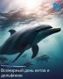 Где в России можно познакомиться с морскими млекопитающими?