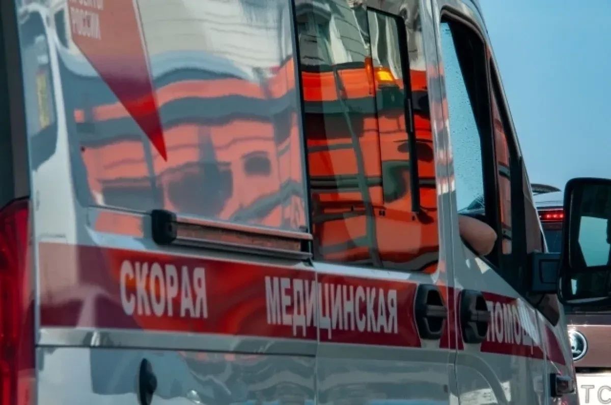 Бездомный пес вцепился ребенку в руку и протащил его по асфальту в Анапе