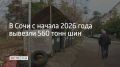 В городе действуют отдельные контракты по их сбору и утилизации, об этом сообщает администрация курорта